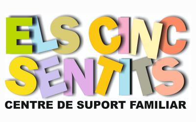 els cinc sentits